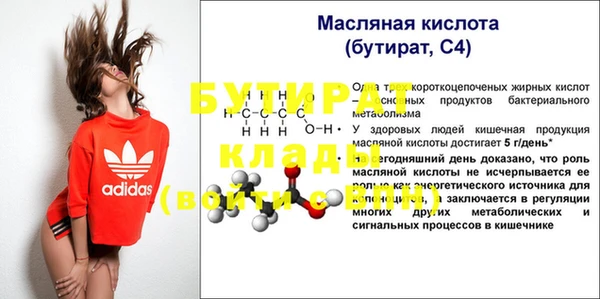 гашик Ельня