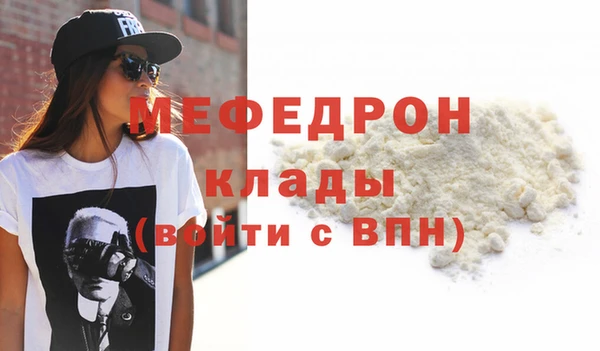 гашик Ельня
