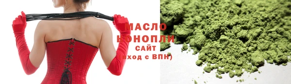 гашик Ельня