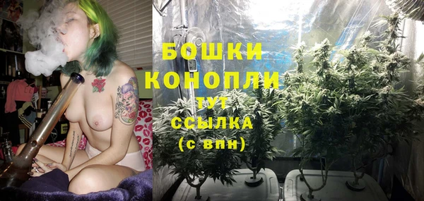 MDMA Дмитриев
