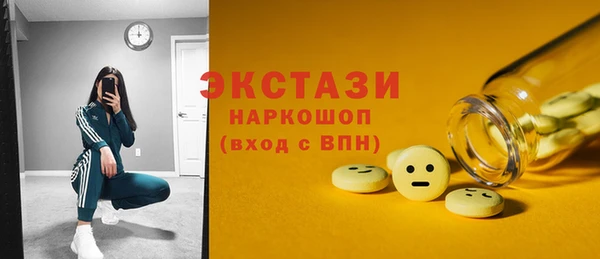 гашик Ельня