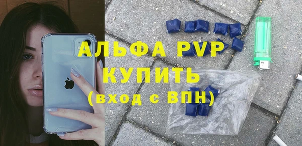 гашик Ельня