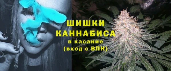 гашик Ельня