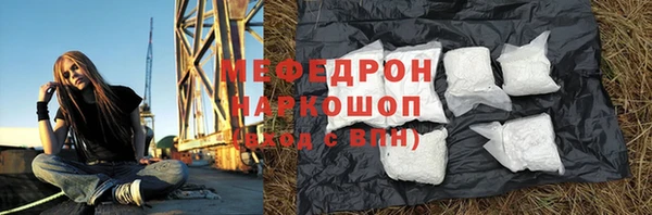 гашик Ельня