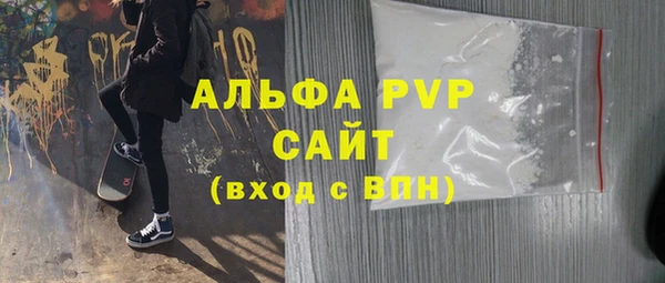 гашик Ельня