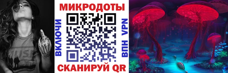 Галлюциногенные грибы Psilocybine cubensis  Купить  Олёкминск 